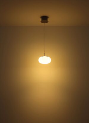 globo-lámparacolgante-quintara-acero-vidrio-ø20cm-led-15744hn-1