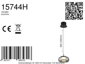 globo-lámparacolgante-quintara-negro-vidrio-ø20cm-led-15744h-8a