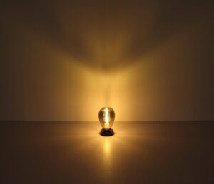 globo-lámparademesa-fanni-negro-vidrio-ø15cm-e27-15563t-1