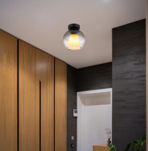 globo-plafón-barry-negro-vidrio-ø18cm-e27-15749d-1