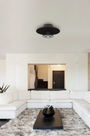 globo-plafón-carter-negro-metal-ø38cm-led-15647sd-1