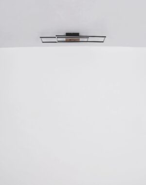 globo-plafón-dakari-negro-metal-led-67208-30-1