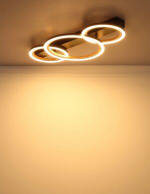 globo-plafón-dakarii-negro-metal-led-67356d1-1