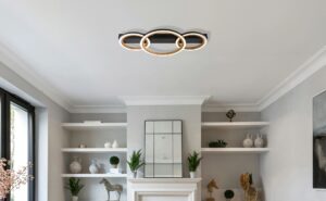 globo-plafón-dakarii-negro-metal-led-67356d1-1