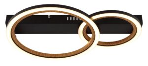 globo-plafón-dakarii-negro-metal-led-67356d2-1