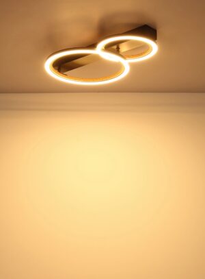 globo-plafón-dakarii-negro-metal-led-67356d2-1