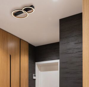 globo-plafón-dakarii-negro-metal-led-67356d2-1