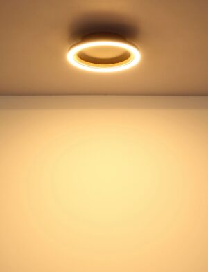 globo-plafón-dakarii-negro-metal-ø21cm-led-67356d-1