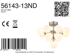 globo-plafón-grappy-acero-vidrio-ø56cm-g9-56143-13nd-8a