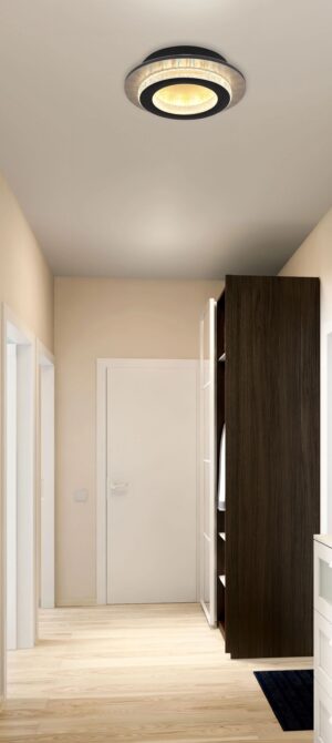 globo-plafón-jayden-negro-metal-ø20cm-led-48042-12g-1