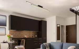 globo-plafón-kirina-negro-metal-led-67342-24d-1