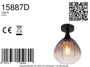 globo-plafón-olsen-negro-vidrio-ø20cm-e27-15887d-8a