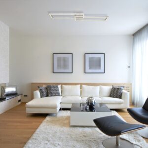 globo-plafón-salmos-plateado-metal-led-67209-45d-1