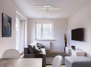 globo-plafón-salmos-plateado-metal-led-67209-60d-1