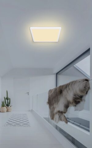 globo-plafón-sapana-blanco-plástico-plafón-led-41563-18w-1