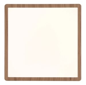 globo-plafón-sapana-natural-plástico-plafón-led-41563-18ww-1