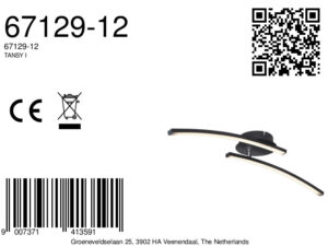 globo-plafón-tansyi-negro-metal-led-67129-12-8a