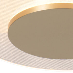 plafóncompactoconnúcleodoradoybordetransparentesteinhauerlido-4