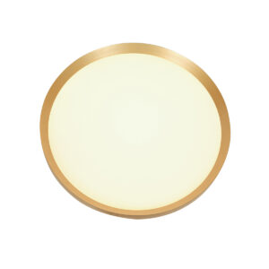 plafóndoradoconmóduloledredondosteinhauerflady-14