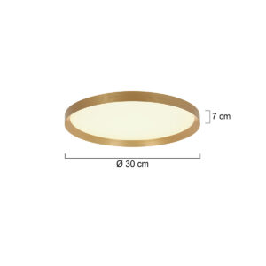 plafóndoradoconmóduloledredondosteinhauerflady-7