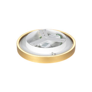 plafóndoradodediseñoplanosteinhauerringlux-12