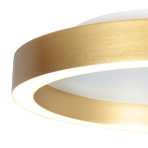 plafóndoradodediseñoplanosteinhauerringlux-4