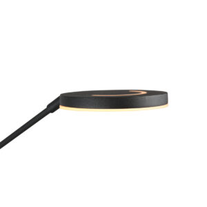 apliquedeparednegrosteinhauersoleil2conbrazolargo-4