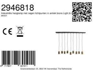 lámparacolgante9lucesbroncelight&livingbrady-8a