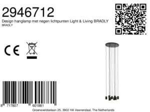 lámparacolgantediseño9luceslight&livingbradly-8a
