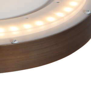 lámparadetechoclásicacolorbroncesteinhauerfladyled-11