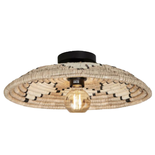 Globo lámparas de techo